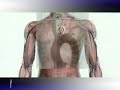 MEDICALNEWS