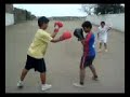 regi vs rey