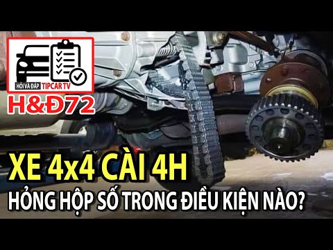 H&Đ72: Tại sao xe 4x4 khi cài 4H có thể làm hỏng hộp số phụ trong một số điều kiện? | TIPCAR TV