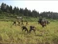 jgsdf 81mm mortar