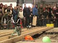 power tool races
march 23, 2008
groningen, nl