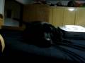 MOV00337
