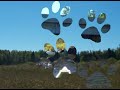 Wild Ricing
