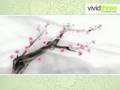 Chinese Painting E-Greeting Card