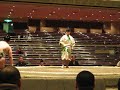 sumo 2