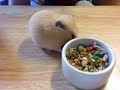 Samosa Loves Food
