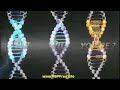 V�deo PSP Juiced 2 Hot Import Nights - Driver DNA (Car Racing)