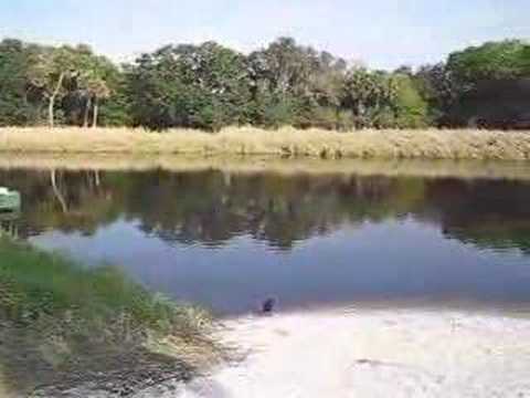 Myakka River State Park - Sarasota, Florida - part 4