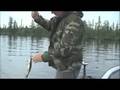 Fishing the Arrowhead: Lost Lake