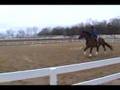 videos de Fritz