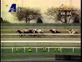1995 NYRA Mile - Flying Chevron