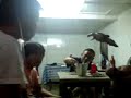 yawer drinking hubog xx yawer drinking hubog xx