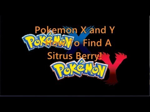 how to get more berries in pokemon x