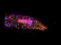 High-speed, 3D SCAPE Microscope Captures Stunning, Live Videos of Fruit Fly Nerve Cells in Action