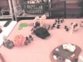 40K batrep - Templars vs Emp children - Part 1 40K batrep - Templars vs Emp children - Part 1
