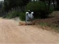 carrito de competi carrito de competi