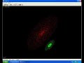 Wenn Galaxien zusammensto�en