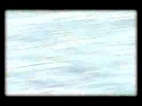 Samples - Music video The Samples Facts #1- The Samples got their name from eating supermarket (King Soopers) Samples of food during the early days. Sean still eats su...