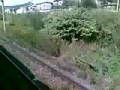 Cu P 2735 intre Lupeni si Petrosani [Partea 4]