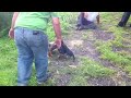 Click here to watch this video Botas 2
