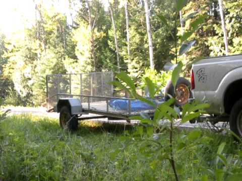 how to transplant pink lady slippers