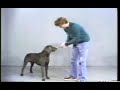 A few short clips from William Wegman, including footage of the great Man Ray.