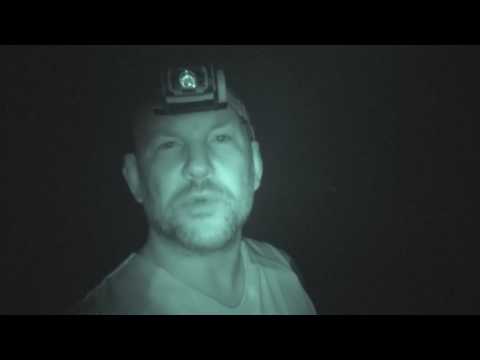 YouTube reptile video