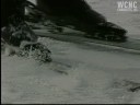 Ski resorts enjoy mountain snow