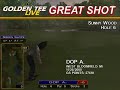 Golden Tee Great Shot on Sunny Wood!