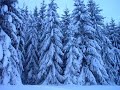 Slovakia - Tatry - Walking in the air - Štrba - Slovensko