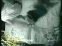 wisin y yandel-dime que te paso (video).mpg