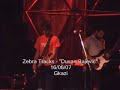 Zebra Tracks - Dusan Bajevic Zebra Tracks - Dusan Bajevic