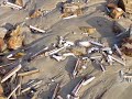 -piano didier squiban-chant yann fanch kemener-
des photos de mon quartier mais des photos qui me plaisent.c 'est surtt aussi la 1ere video que je mets sur you tube et elle est un peu en vrac...
dire que j'adore cette bretagne  ...  est superflu ..o)