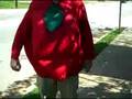 zach tomato