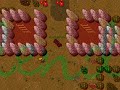 Visit Tibia!
