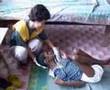 Sai Service at Home for Severely Handicapped Children