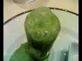 Molecular-Gastronomy