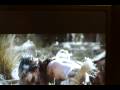 - MovieZen Video