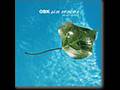 OBK-  a ras de suelo (silica gel remix)