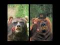 videos de SHOT BAKER Bears promo
