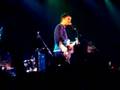 babyshambles live