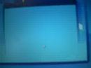 what i got on webkinz for the gecko! (read discription)