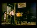 krokus - midnight maniac