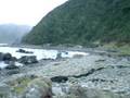 Pete & Patricia Traveling - NZ - Baby Sealion