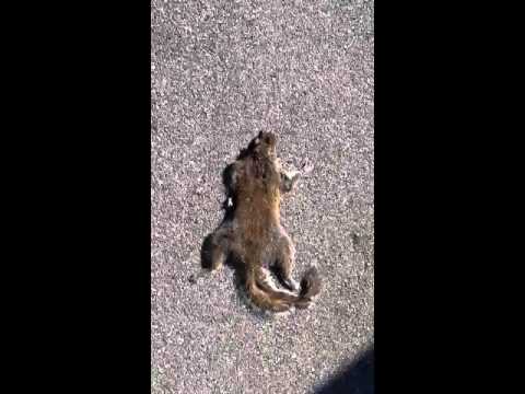 Flatness (it's just wrong! Lol)
