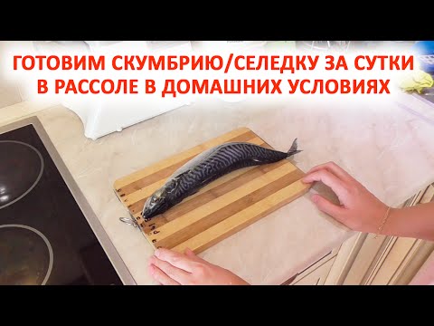 Как приготовить скумбрию в рассоле в домашних условиях Как приготовить скумбрию в рассоле в домашних условиях