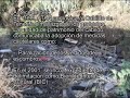 Atentado contra los grabados de Lomo Gordo