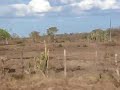 Sert�o da Bahia - Br 116 - 28.12.07