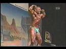 Bodybuilder
