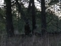Elk Hunt with New Mexico Hunting Adventures Vince Vigil